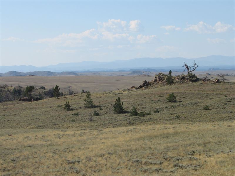 Summer Rain Ranch Tract 6 : Laramie : Albany County : Wyoming