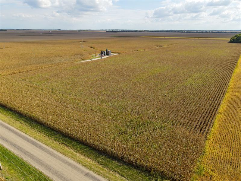 70 Acres in Paris, Illinois : Paris : Edgar County : Illinois