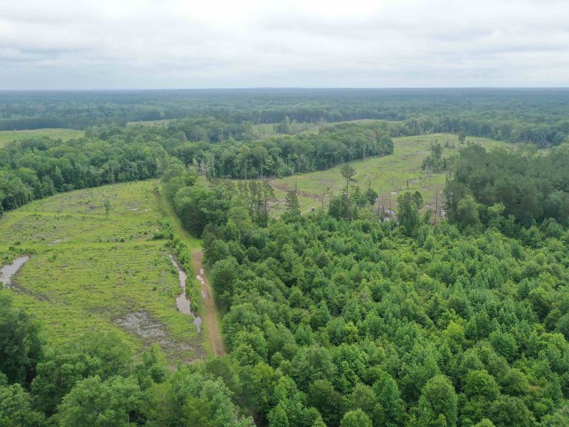 Socagee Creek : Galloway : Panola County : Texas