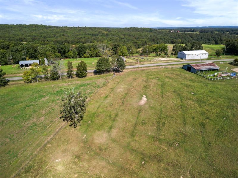 Beautiful 167 Acre Farm : Tecumseh : Ozark County : Missouri