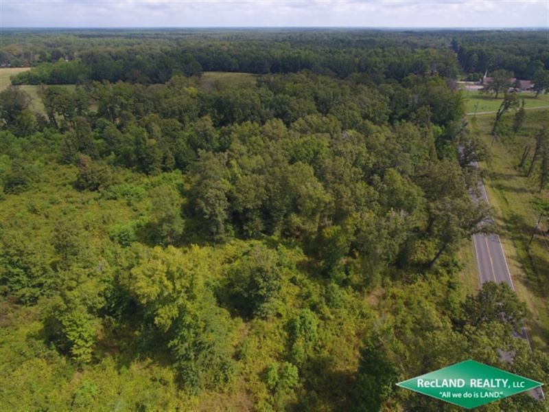 19 Ac, Wooded Tract for Home Sites : Swartz : Ouachita Parish Parish : Louisiana