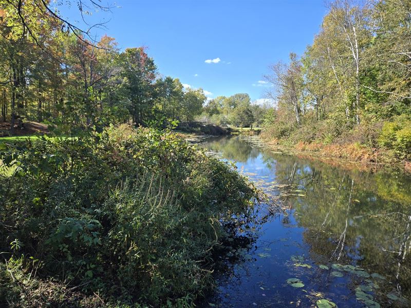 Martiny Lakes Waterfront Canal : Barryton : Mecosta County : Michigan