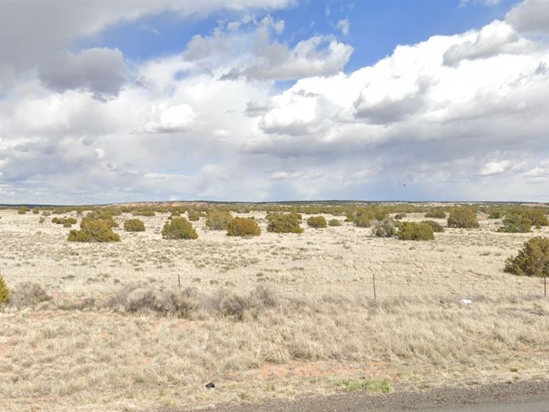 Gallup, NM 2.47 Acres Just $200/Mo : Concho : Apache County : Arizona