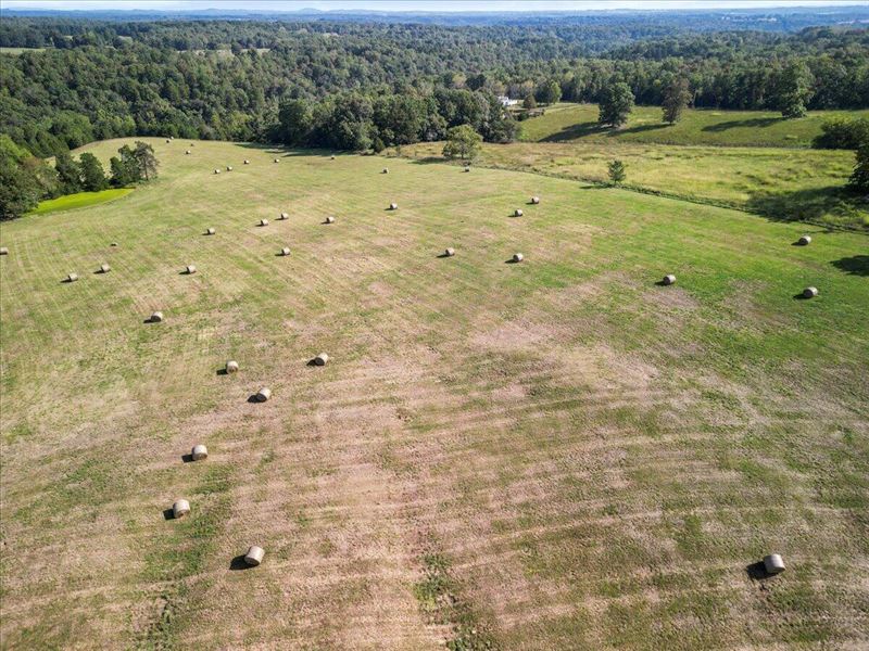 Cross Fenced 54 Acre Lot : Tecumseh : Ozark County : Missouri