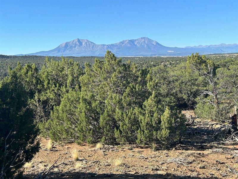 Lot 12 City Ranch Property, Walsenb : Walsenburg : Huerfano County : Colorado