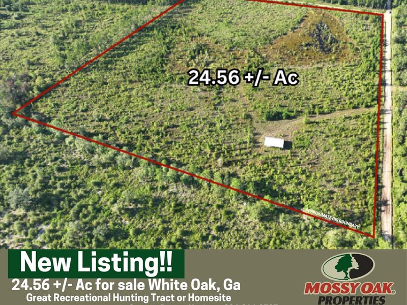 24.56 Ac for Sale with Pole Barn : White Oak : Camden County : Georgia