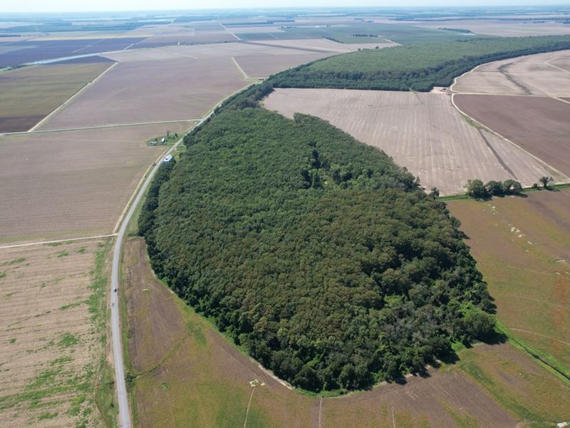 40.4 Acres in Leflore County, MS : Schlater : Leflore County : Mississippi