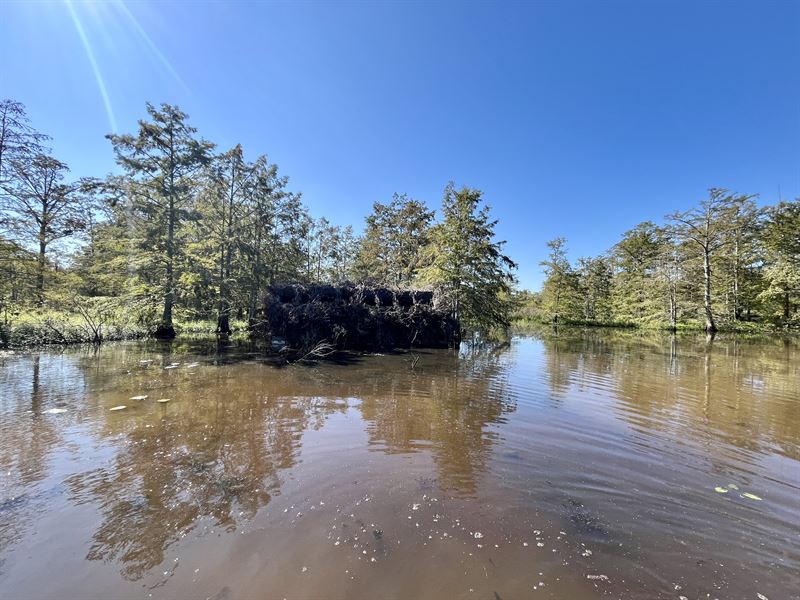 West TN Duck Hunting with Lodge : Friendship : Crockett County : Tennessee