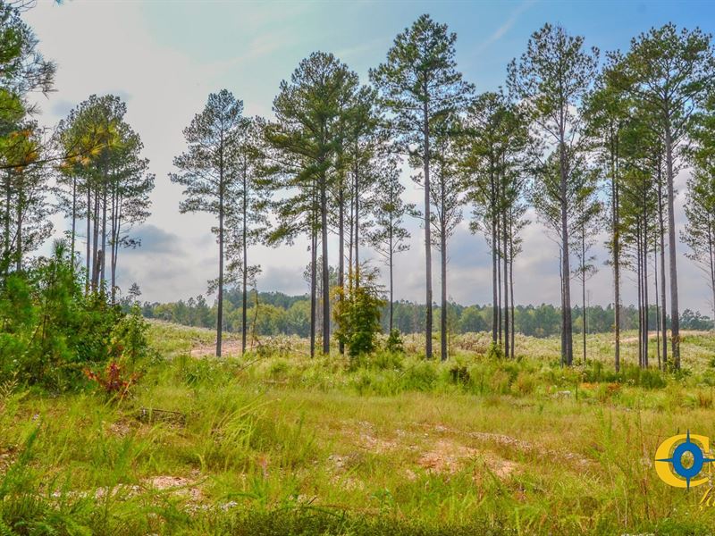 Dawkins Road North Tract : Pacolet : Cherokee County : South Carolina