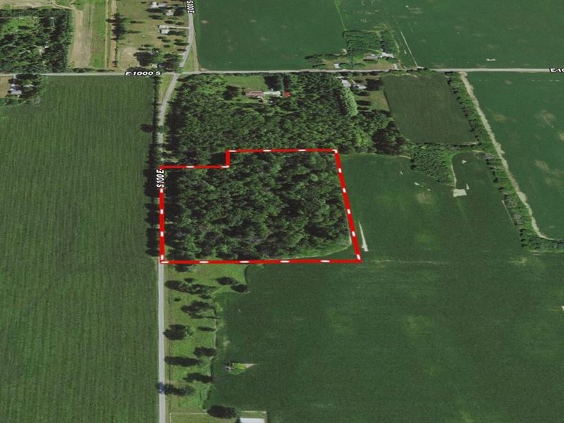 12 Acres of Private Wooded Land : Pendleton : Madison County : Indiana