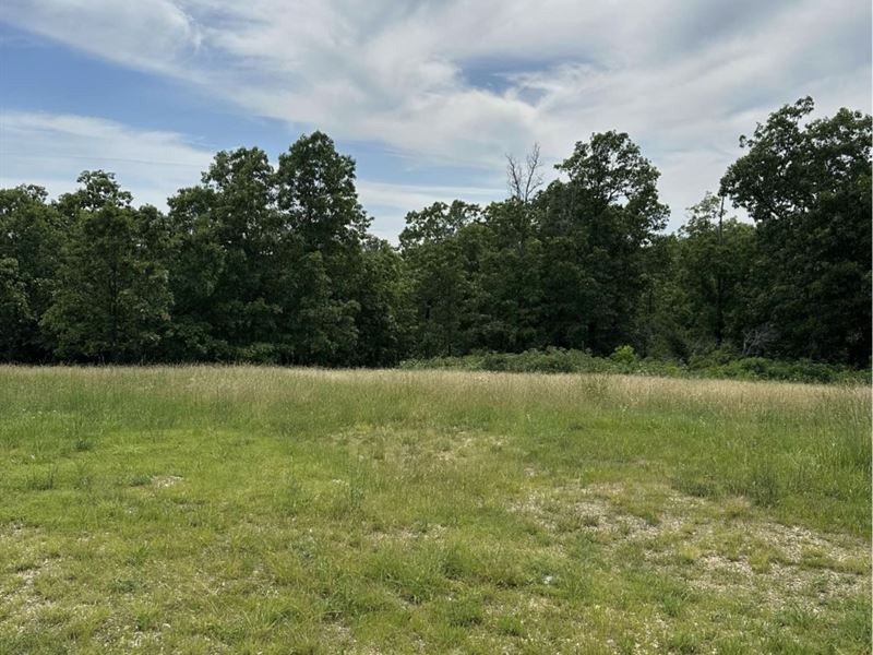 Southern Missouri Land for Sale : Cabool : Texas County : Missouri