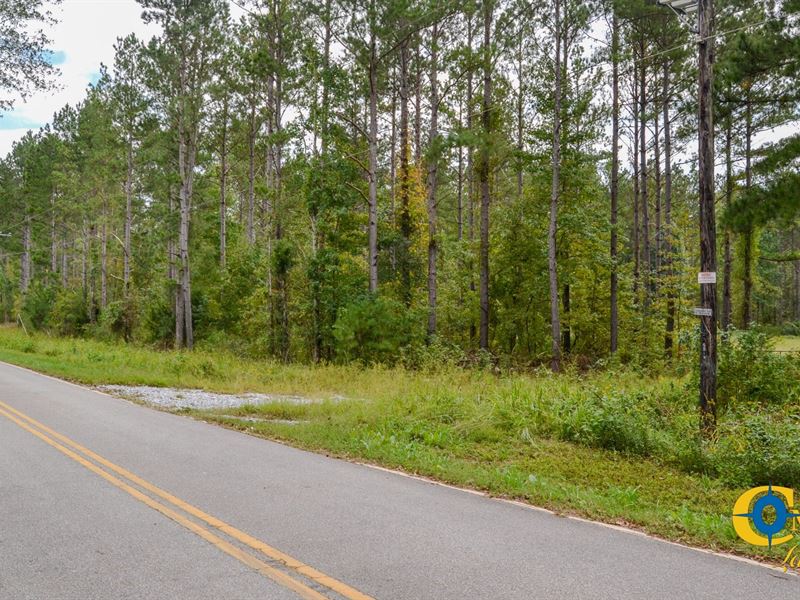 Padgetts Creek Tract : Union : Union County : South Carolina