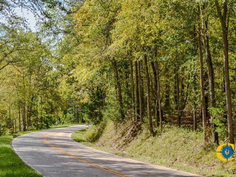 Asbury Road West Tract : Pacolet : Cherokee County : South Carolina