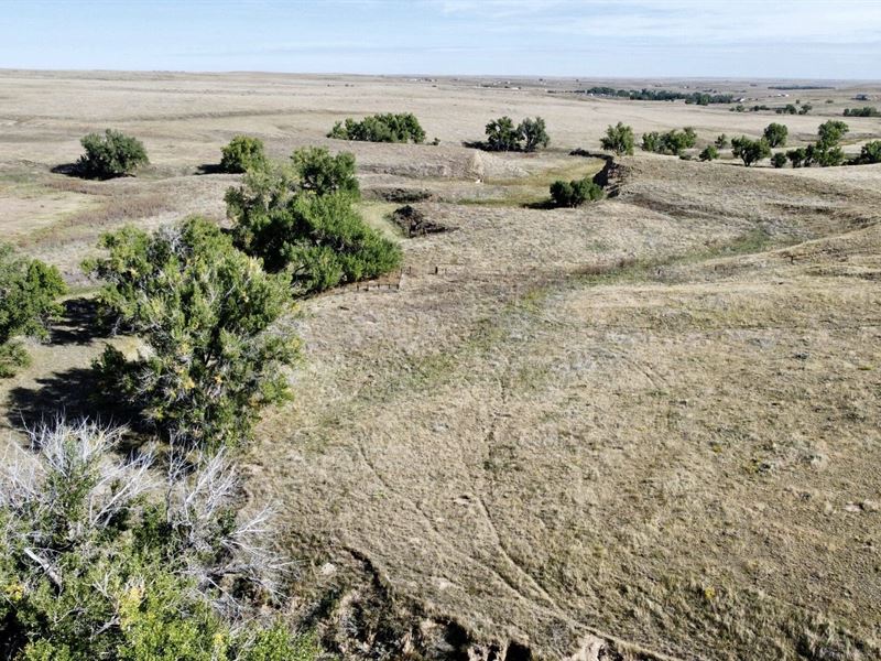 Willow Gulch 94'S : Deer Trail : Elbert County : Colorado