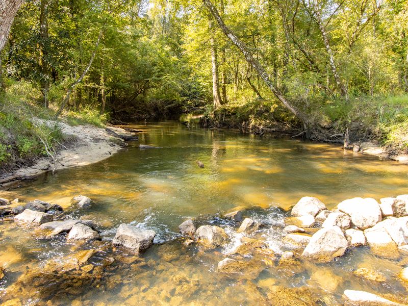 17 Ac Tenmile Creek Homestead, Cr : Bonifay : Holmes County : Florida