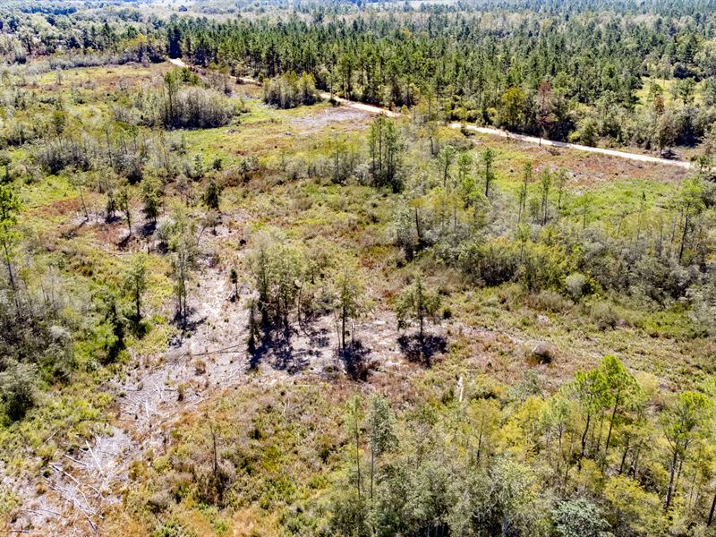 84 Ac Recreational Timberland Inves : Bonifay : Holmes County : Florida