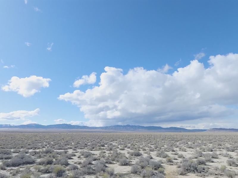 Build Your Ranch Here : Montello : Elko County : Nevada