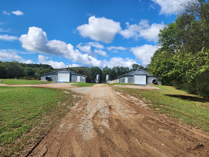 Small Broiler Poultry Farm : Tunnel Hill : Whitfield County : Georgia