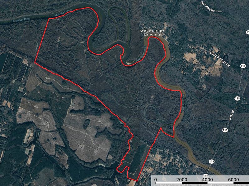 Fractional Ownership, H&D Hunting : Clyo : Effingham County : Georgia