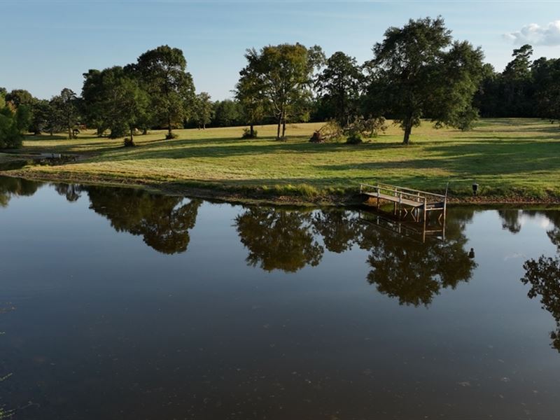 Diamond W Ranch : Navasota : Grimes County : Texas