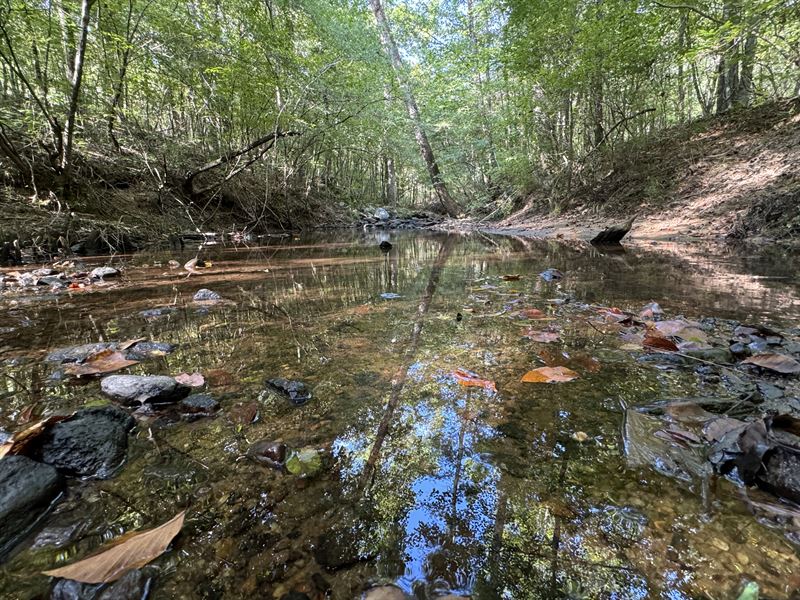 70 Ac, Managed Pine Plantation : Camp Hill : Tallapoosa County : Alabama