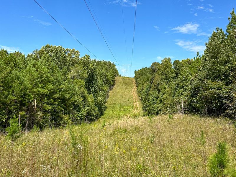 41 Ac Hunting Tract : Goodwater : Coosa County : Alabama