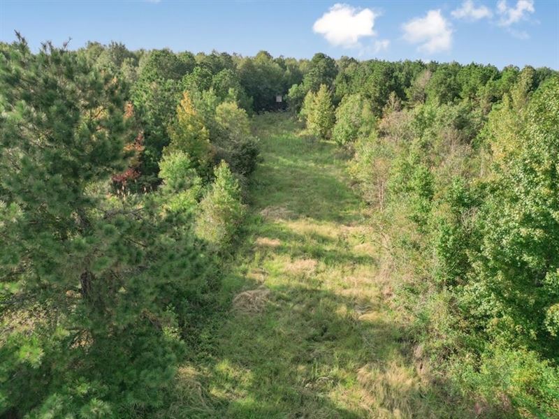 Turnkey Hunting Property in Catahou : Enterprise : Catahoula Parish : Louisiana