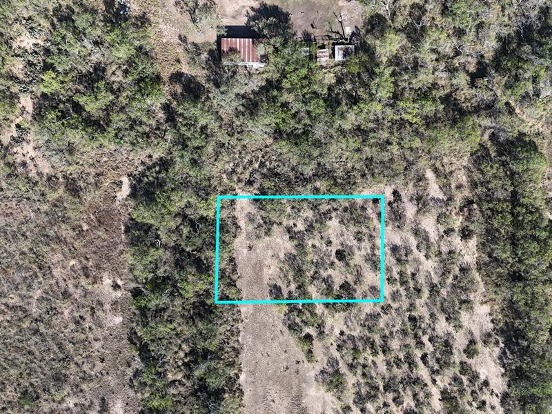 .32 Acre in Atascosa County : Christine : Atascosa County : Texas