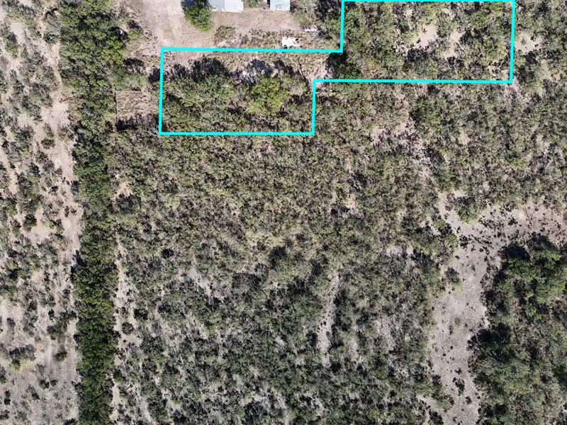 .56 Acre in Atascosa County : Christine : Atascosa County : Texas