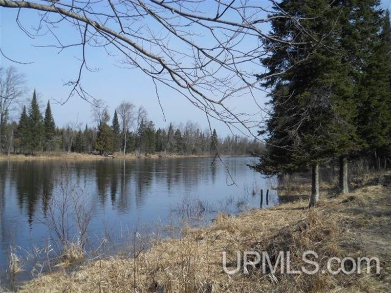 Whitefish River Acreage : Rapid River : Delta County : Michigan