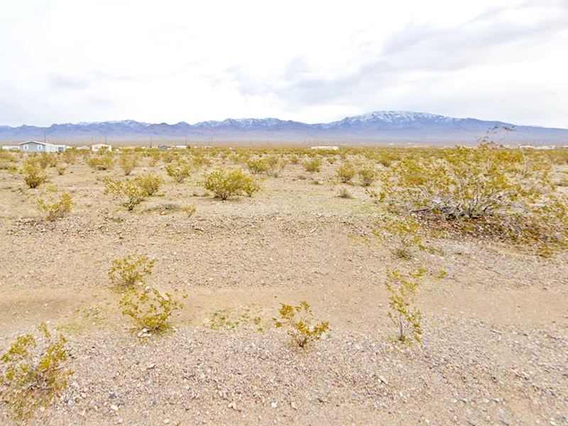 Rural Lot Dream for $360.54 Down : Pahrump : Nye County : Nevada