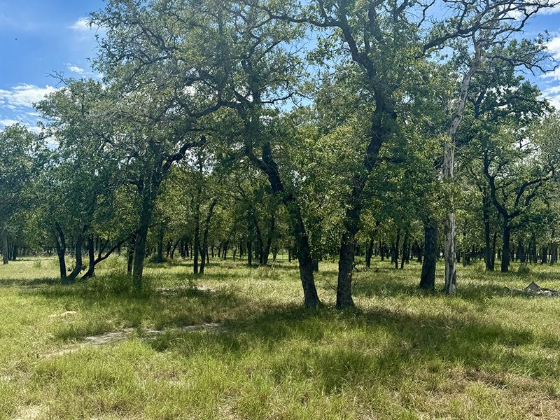 10.5 Acres in Floresville, TX : Floresville : Wilson County : Texas