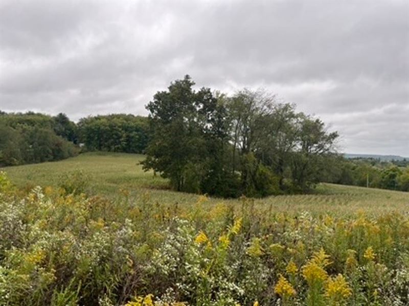 Henry Road : Punxsutawney : Indiana County : Pennsylvania