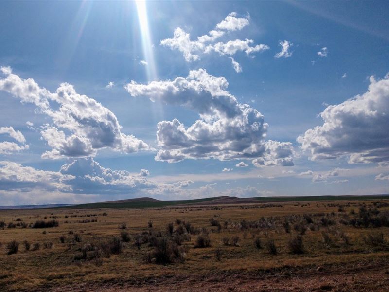 Wheat Basin Road : Molt : Stillwater County : Montana