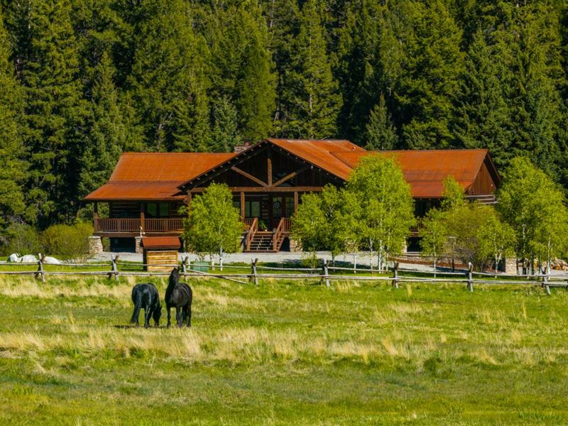 Jerry Creek Haven : Wise River : Silver Bow County : Montana