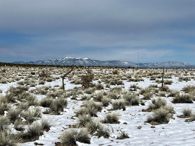 28 Turkey Ridge Ranch Walsenburg : Walsenburg : Huerfano County : Colorado