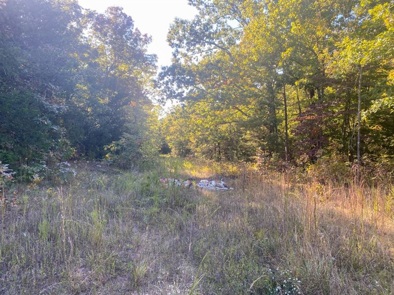 Wholesaler Offer, Lake, River, Golf : Horseshoe Bend : Izard County : Arkansas