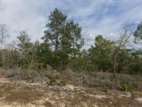 Mobile Home Friendly, Only $180/Mo : Interlachen : Putnam County : Florida