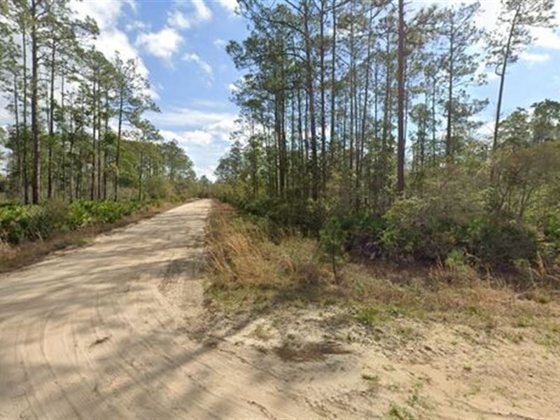 Grow Your Wealth, Only $180/Mo : Interlachen : Putnam County : Florida