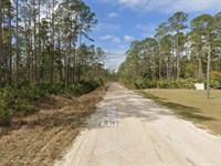Land Ownership Made Affordable : Interlachen : Putnam County : Florida