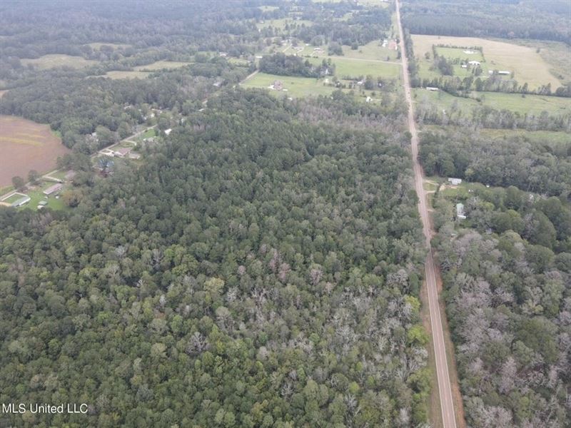 42 Acres for Sale with Old Country : Forest : Scott County : Mississippi