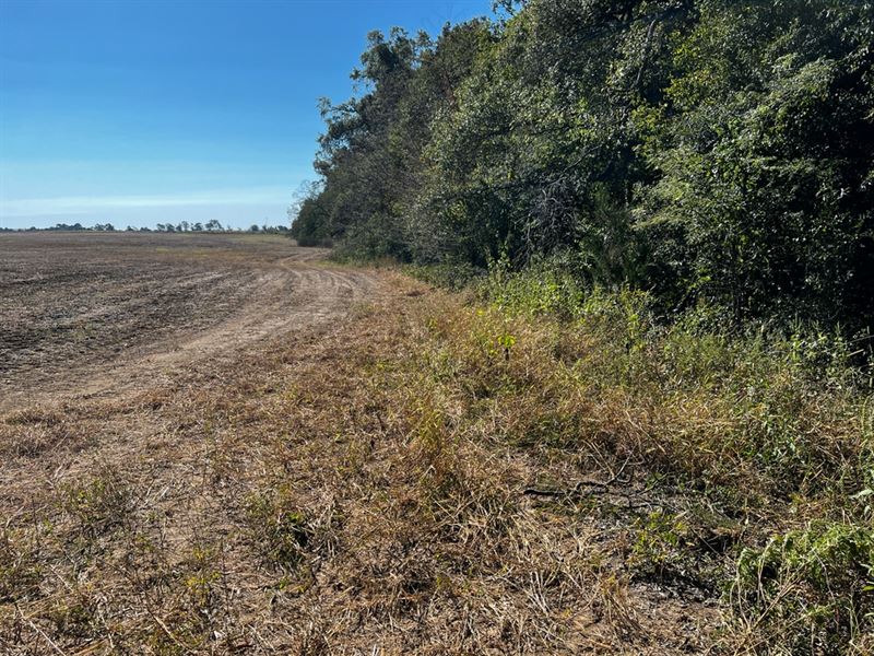 La, Tensas 30 Acres : Newellton : Tensas Parish : Louisiana