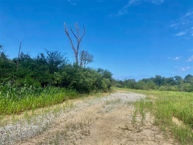 51 Acres Magnolia Holmesville Road : McComb : Pike County : Mississippi