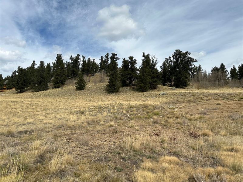 Beaver Ridge : Fairplay : Park County : Colorado