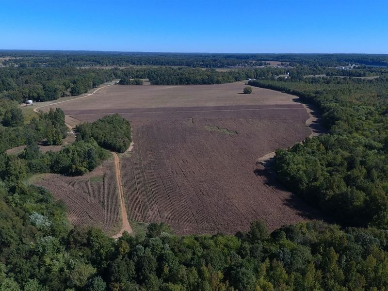 Farmland for Sale in Tennessee : Savannah : Hardin County : Tennessee