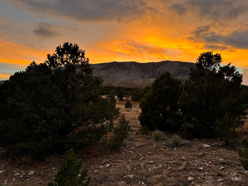 Lot 95 Cl&G Cc-1, Walsenburg : Walsenburg : Huerfano County : Colorado