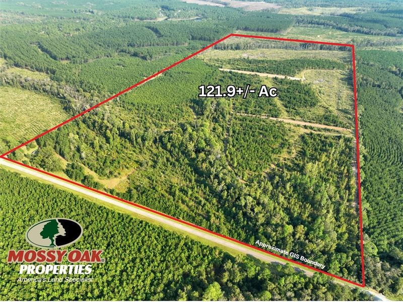 121 Acre Hunting Tract with a Po : Eastman : Dodge County : Georgia