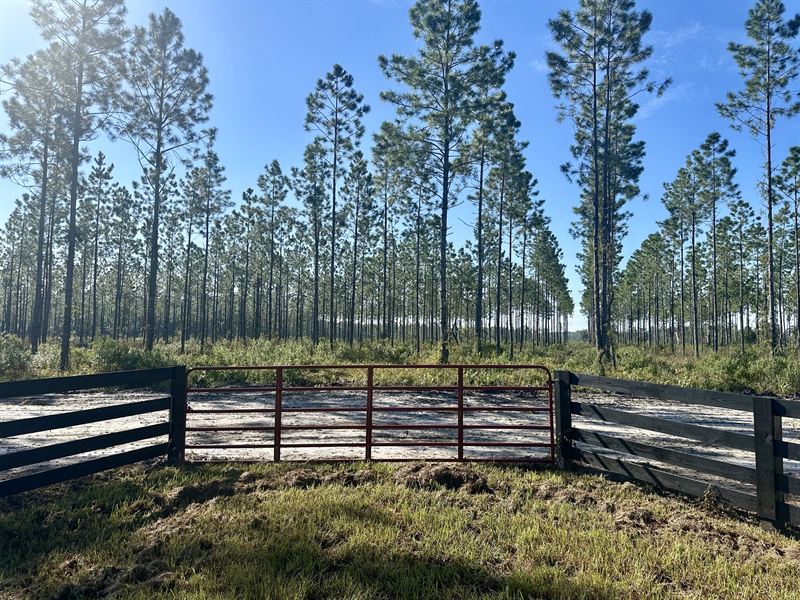 Picturesque Landscape : Hilliard : Nassau County : Florida