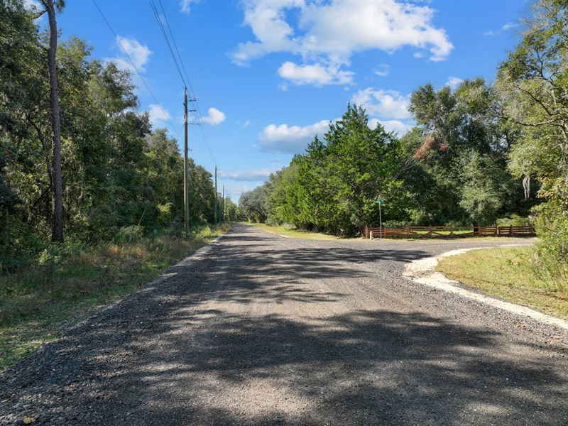 Own Your Florida Escape, 0.23 Acre : Interlachen : Putnam County : Florida