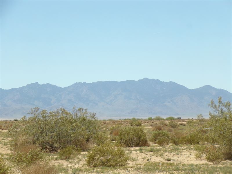 1.25 Ac Kingman Backroad Beauty : Kingman : Mohave County : Arizona